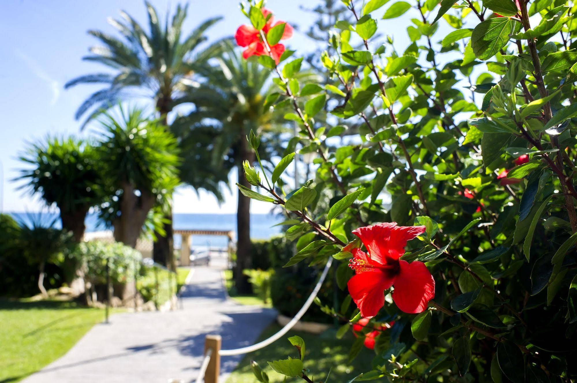 Hotel Globales Gardenia Fuengirola